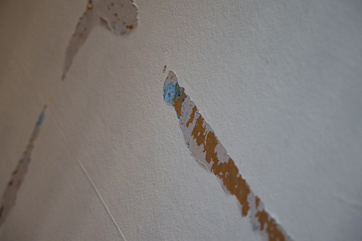 Mold Remediation service in Sterling Heights, MI